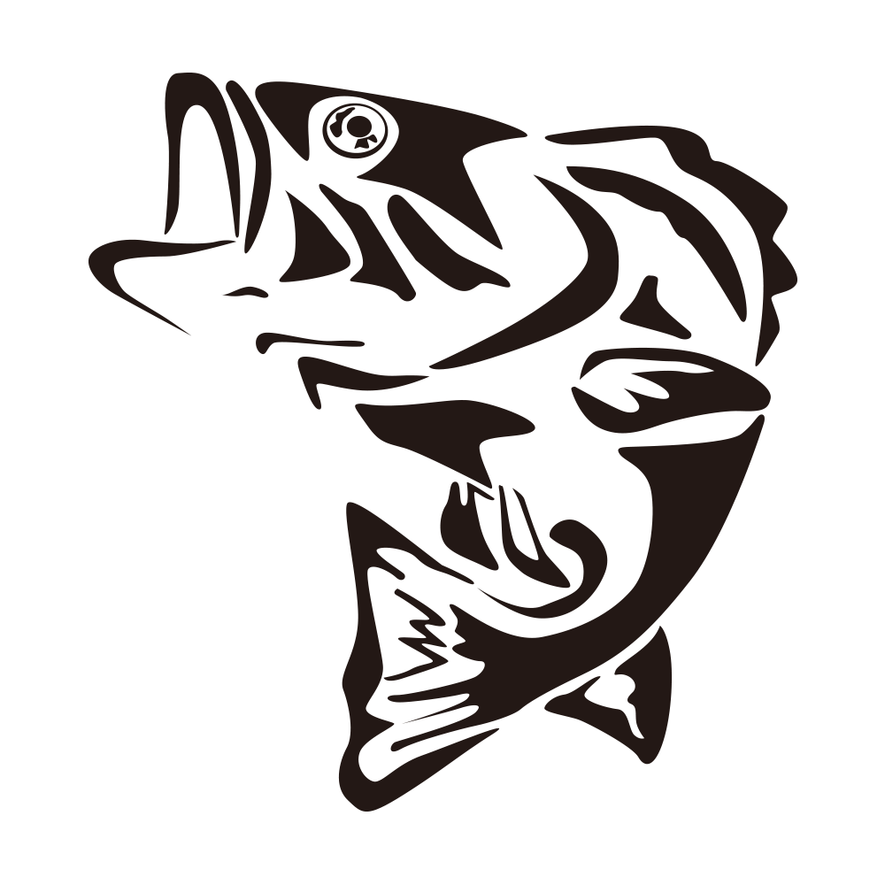 Visual Analysis of Fishing Data with Python